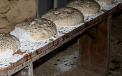 Ježíš se stal chlebem, aby utišil náš hlad (Matka Tereza) Ježíš se stal chlebem, aby utišil náš hlad (Matka Tereza)