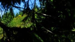 Vzpomínání na život s Bohem v naší minulosti nám dodává odvahu Vzpomínání na život s Bohem v naší minulosti nám dodává odvahu